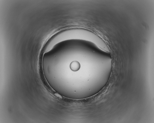 X0000112960248200909171303