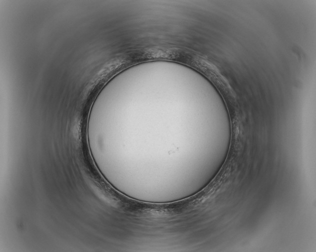 X0000112960250200909171303