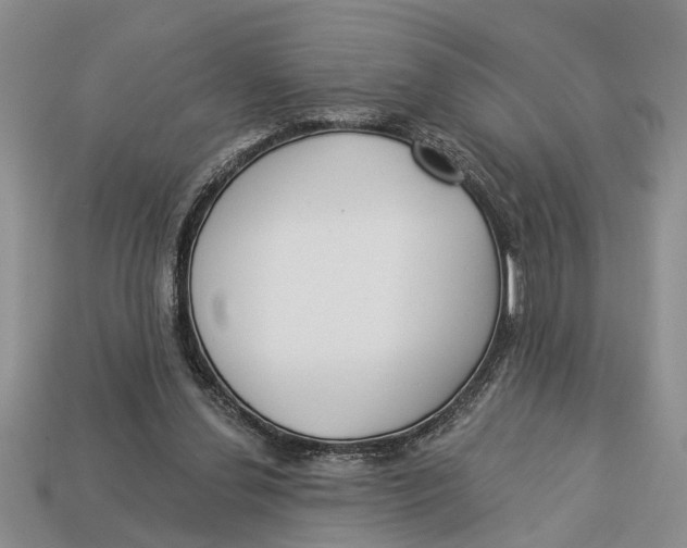 X0000112960252200909171303