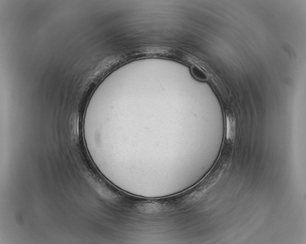 X0000112960253200909171303