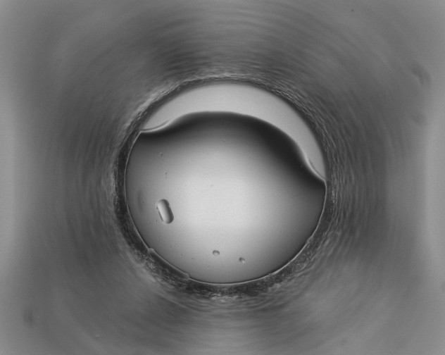 X0000112960256200909171303