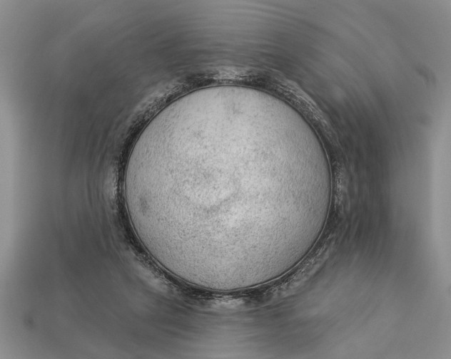 X0000112960257200909171303