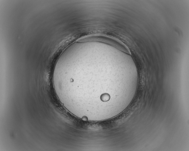 X0000112960258200909171303