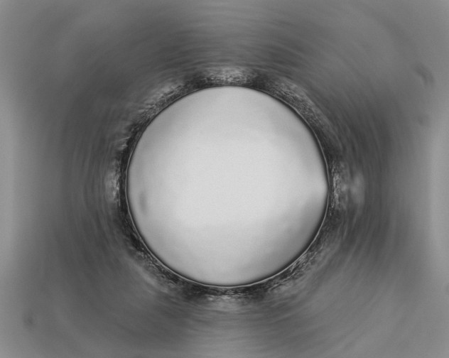 X0000112960259200909171303