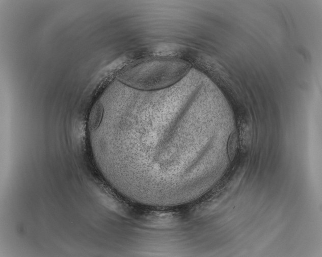 X0000112960260200909171303