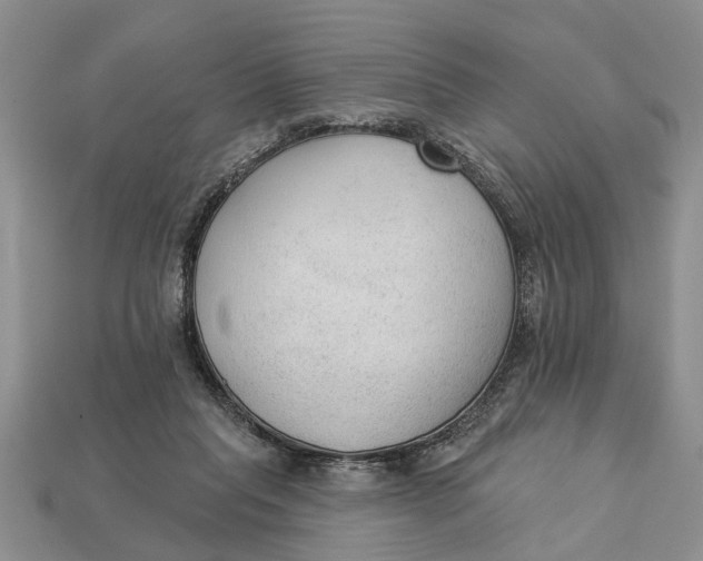 X0000112960261200909171303