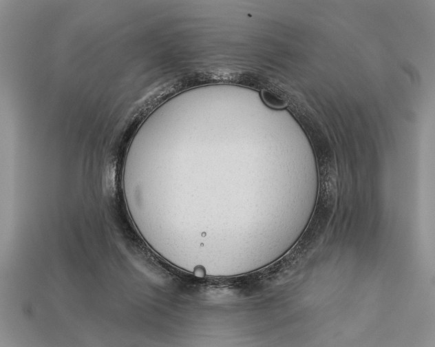 X0000112960262200909171303