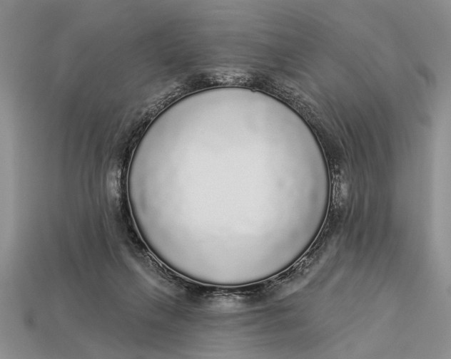 X0000112960263200909171303