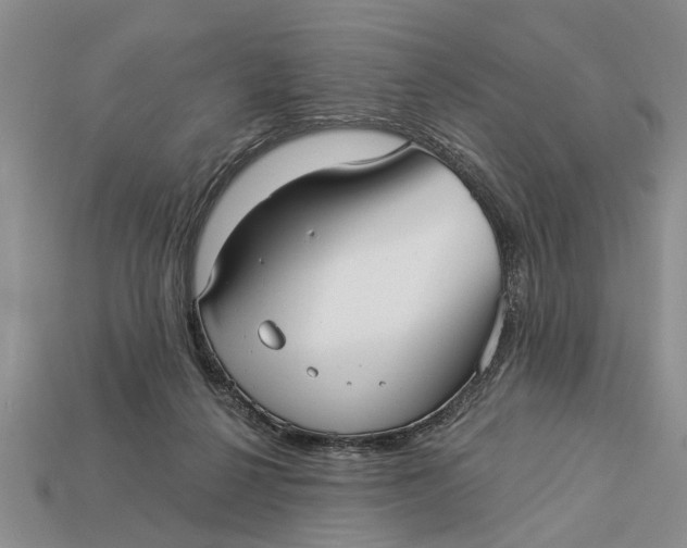 X0000112960264200909171303