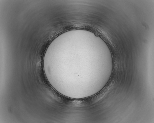 X0000112960265200909171303