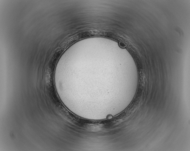 X0000112960266200909171303