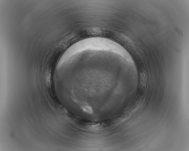 X0000112960267200909171303