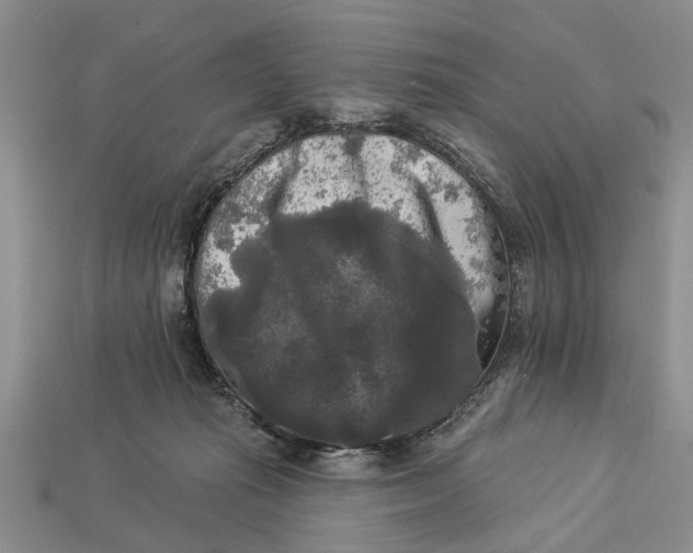 X0000112960269200909171303