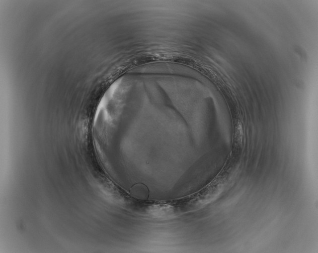 X0000112960271200909171304