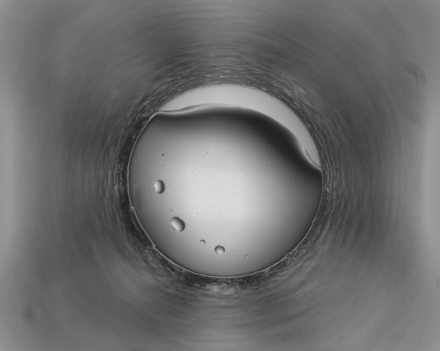 X0000112960272200909171304