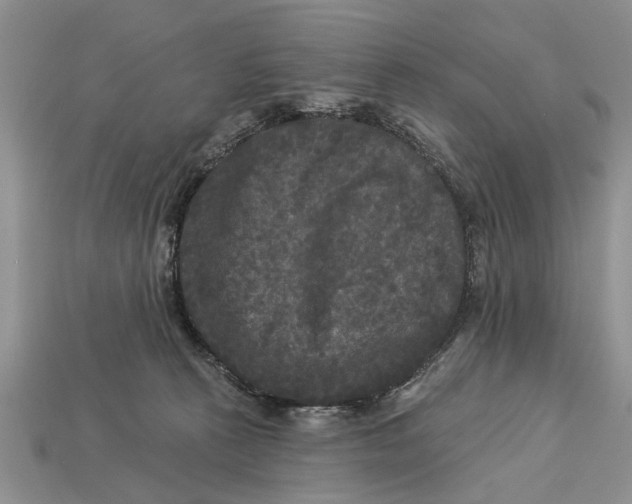 X0000112960273200909171304