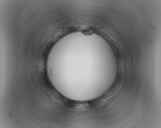 X0000112960274200909171304