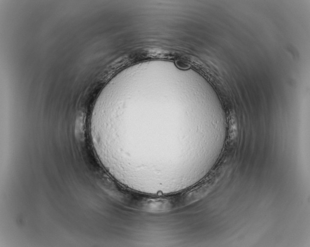 X0000112960275200909171304