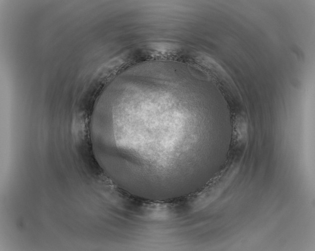 X0000112960276200909171304