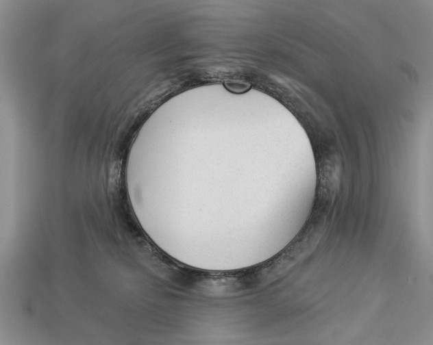 X0000112960278200909171304