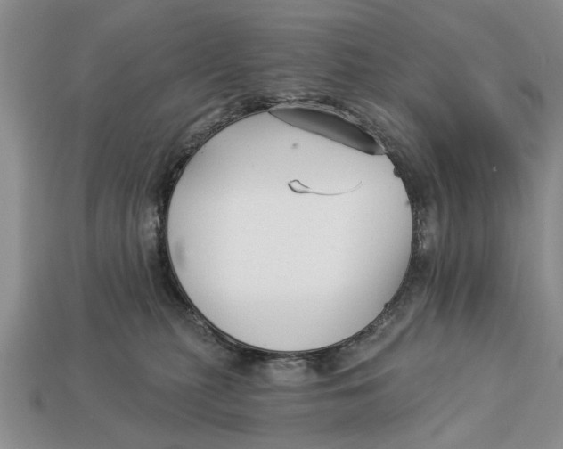 X0000112960279200909171304