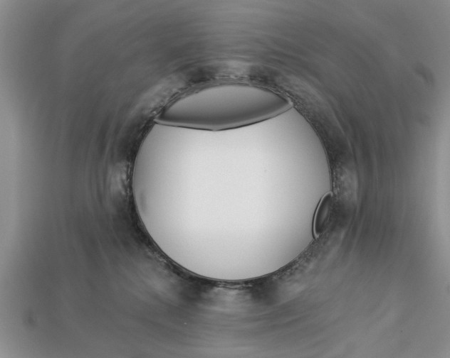 X0000112960280200909171304