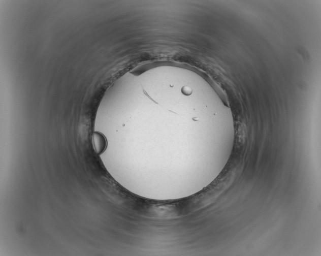 X0000112960283200909171304