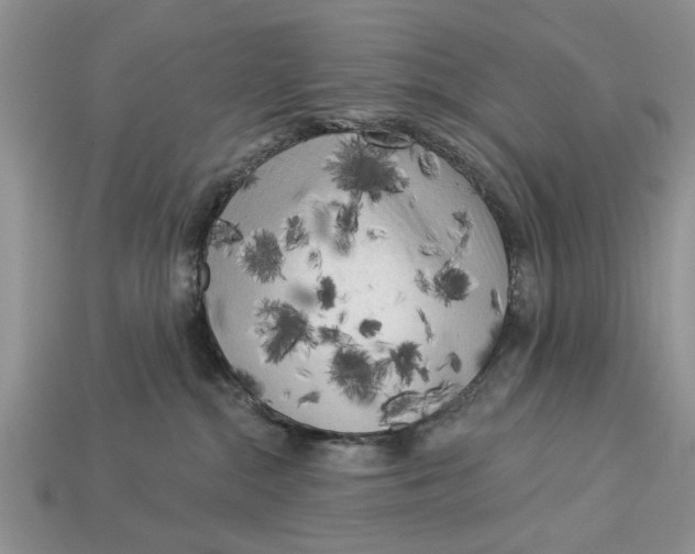 X0000112960284200909171304