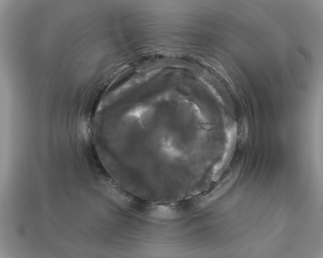 X0000112960285200909171304