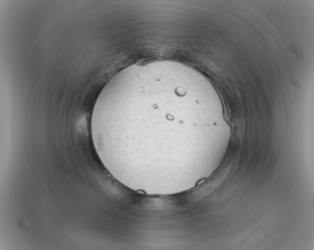 X0000112960286200909171304