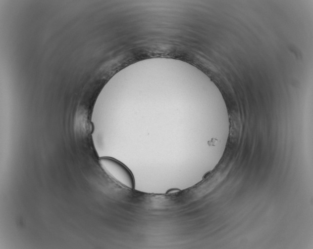 X0000112960287200909171304