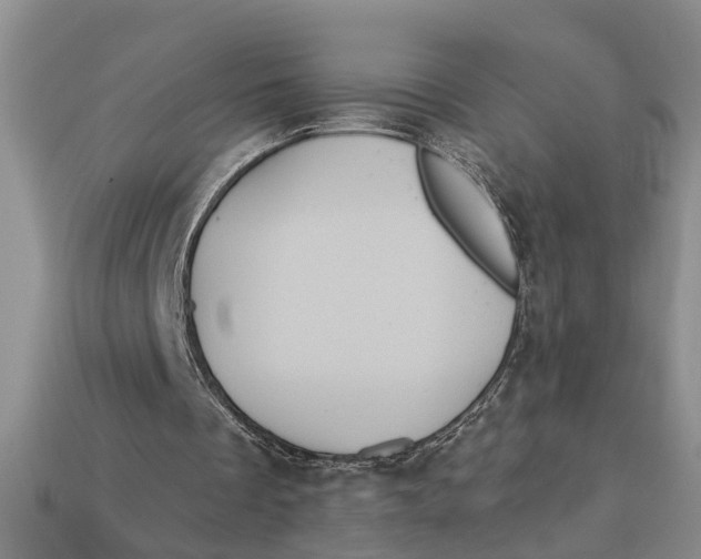 X0000112960289200909171303