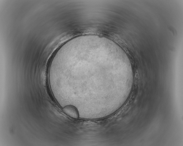 X0000112960290200909171303