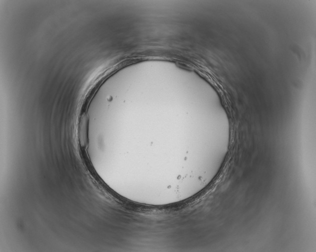 X0000112960293200909171303