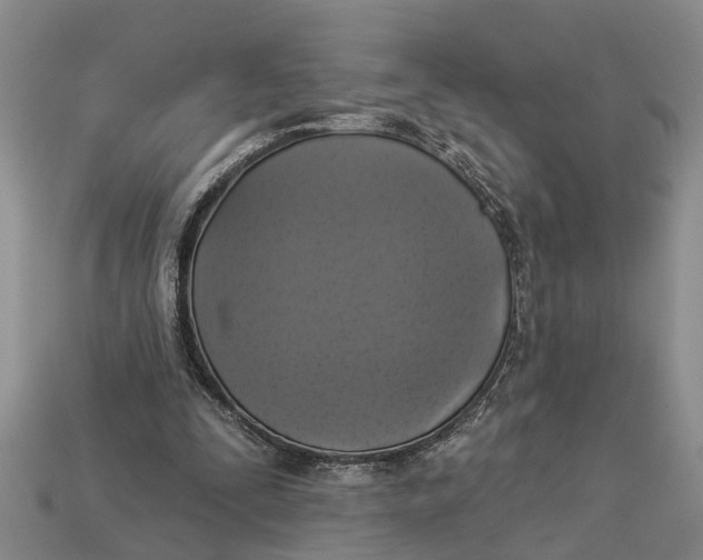 X0000112960295200909171303