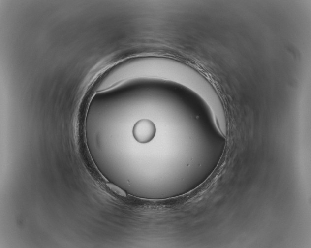 X0000112960296200909171303