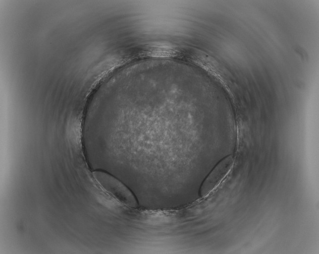 X0000112960297200909171303