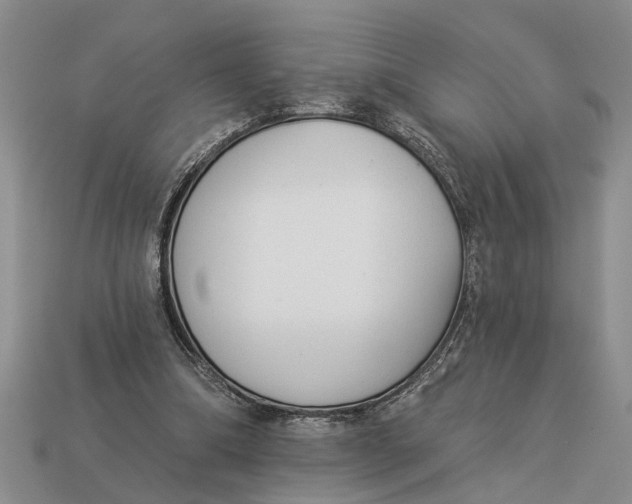 X0000112960298200909171303