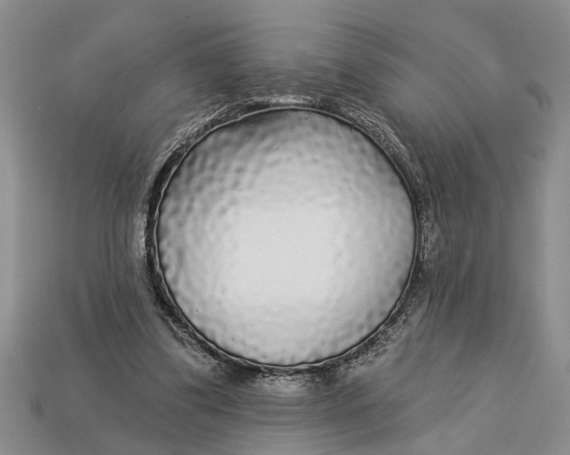 X0000112960299200909171303