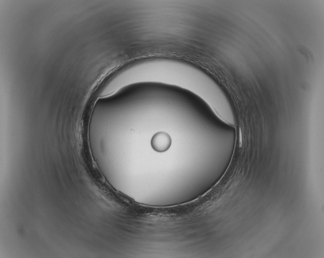 X0000112960300200909171303