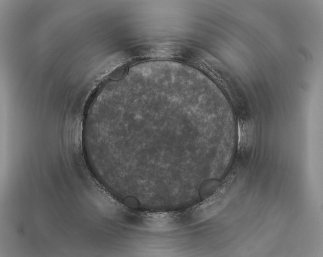 X0000112960301200909171303