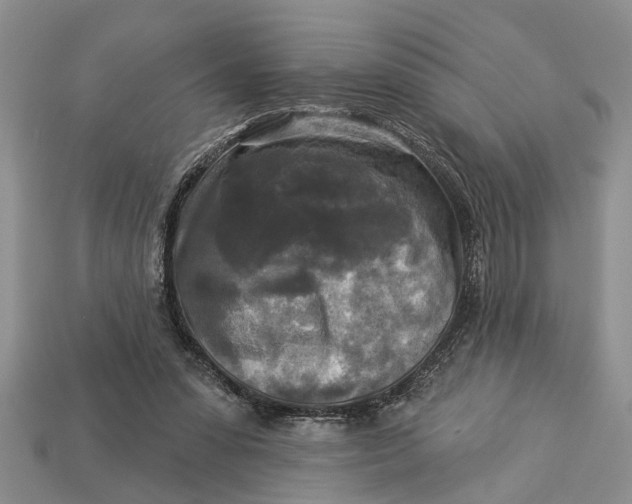 X0000112960303200909171303