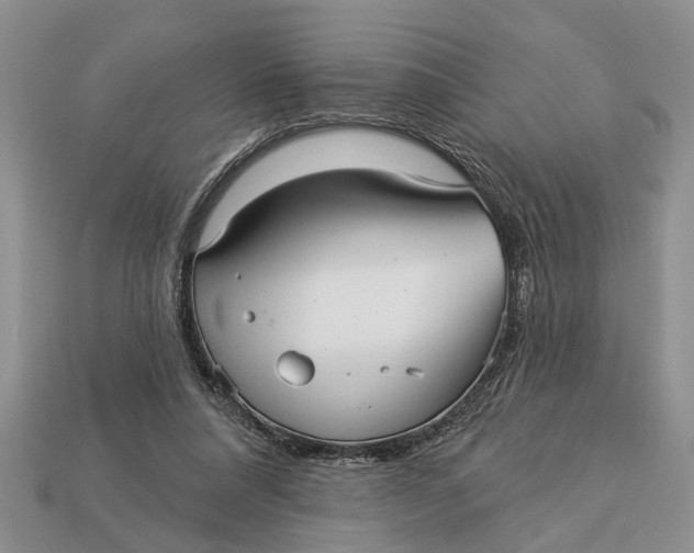 X0000112960304200909171303