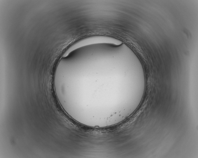 X0000112960305200909171303