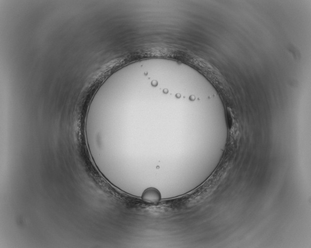 X0000112960306200909171303