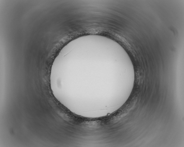 X0000112960307200909171303