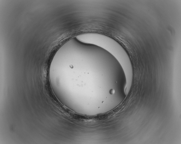 X0000112960309200909171303