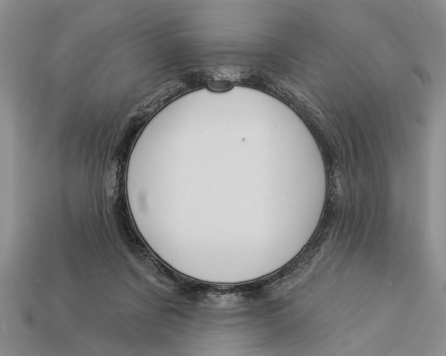 X0000112960311200909171303