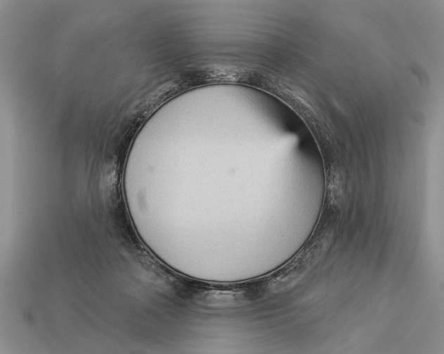 X0000112960314200909171303