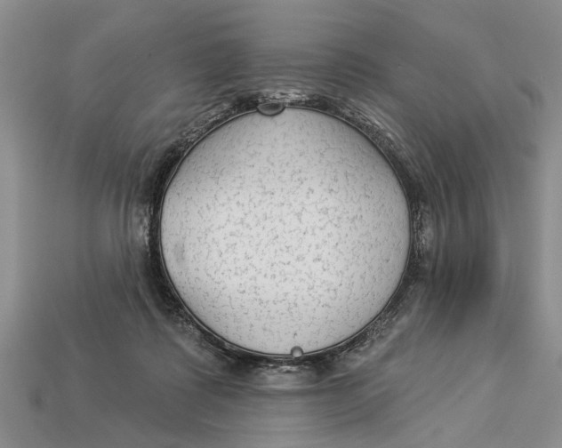 X0000112960315200909171303